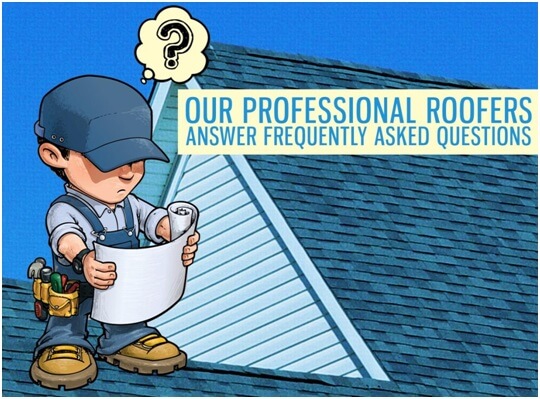 Professional Roofer